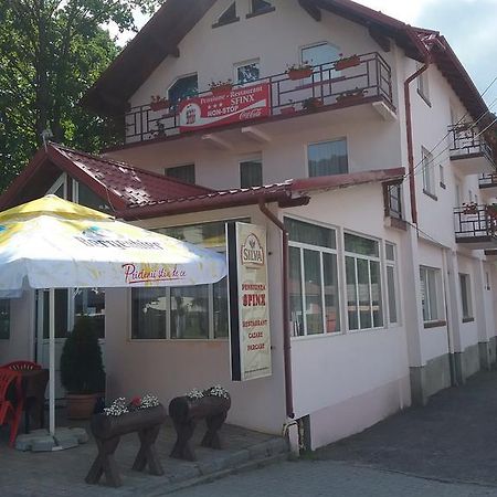Pensiune Restaurant Sfinx Buşteni Dış mekan fotoğraf