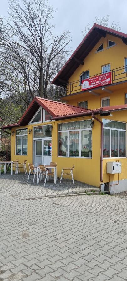 Pensiune Restaurant Sfinx Buşteni Dış mekan fotoğraf