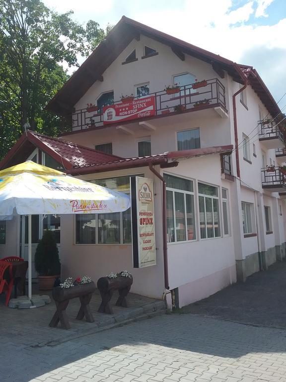 Pensiune Restaurant Sfinx Buşteni Dış mekan fotoğraf